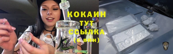 ГАЛЛЮЦИНОГЕННЫЕ ГРИБЫ Ладушкин