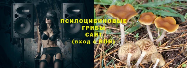ГАЛЛЮЦИНОГЕННЫЕ ГРИБЫ Ладушкин